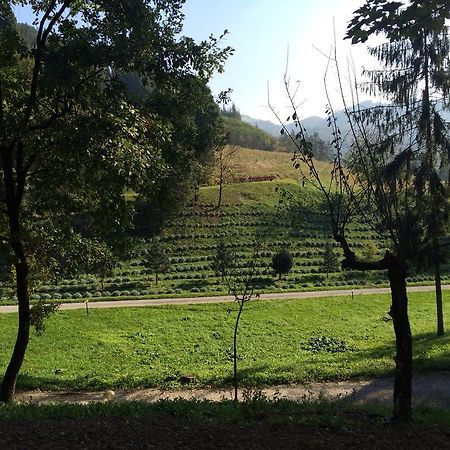 Casa Di Otello Monte San Giovanni  Екстериор снимка