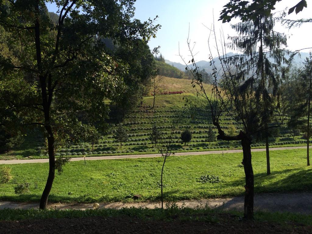 Casa Di Otello Monte San Giovanni  Екстериор снимка